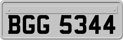 BGG5344