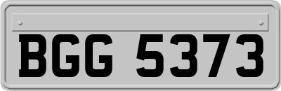 BGG5373