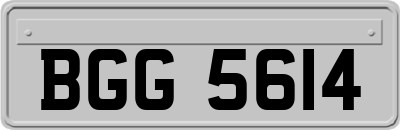 BGG5614