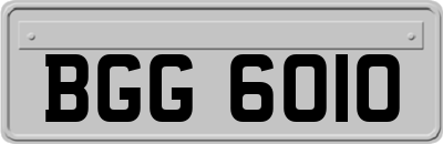 BGG6010