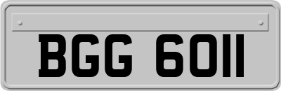 BGG6011