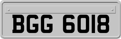 BGG6018