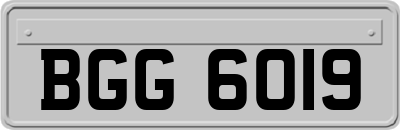 BGG6019
