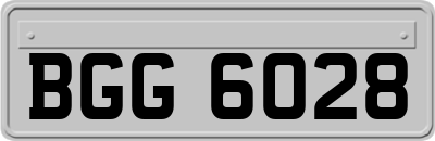 BGG6028