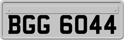 BGG6044