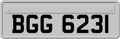 BGG6231