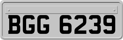 BGG6239