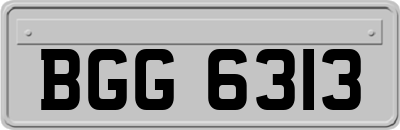 BGG6313