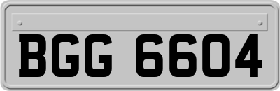 BGG6604