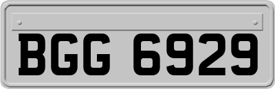 BGG6929