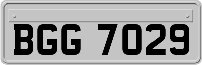 BGG7029