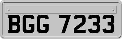 BGG7233