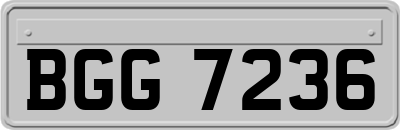 BGG7236