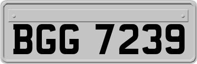 BGG7239