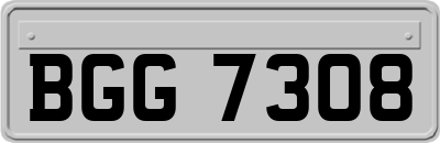 BGG7308