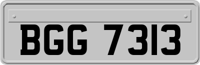 BGG7313