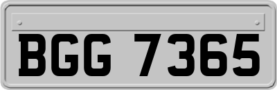 BGG7365