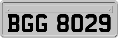 BGG8029