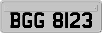 BGG8123