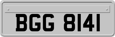 BGG8141