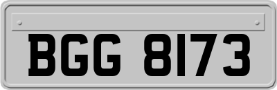BGG8173