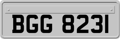 BGG8231