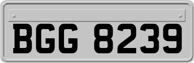 BGG8239