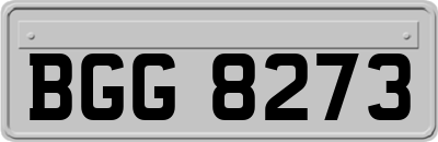 BGG8273