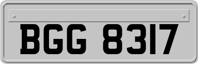 BGG8317