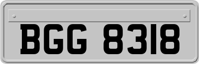 BGG8318