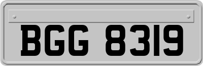 BGG8319