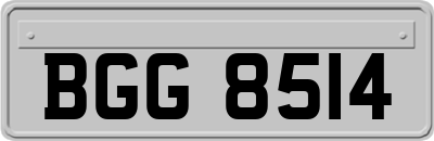 BGG8514