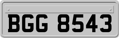 BGG8543