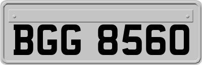 BGG8560