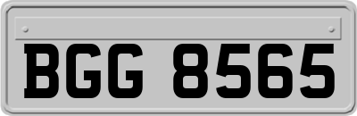 BGG8565