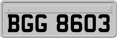 BGG8603