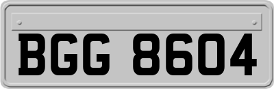 BGG8604