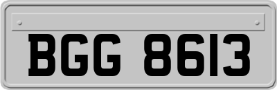 BGG8613