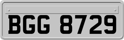 BGG8729