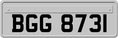 BGG8731