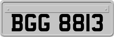 BGG8813