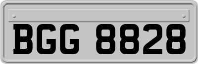BGG8828