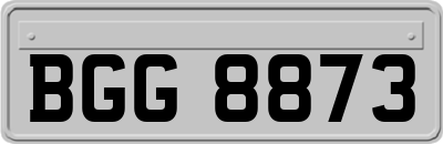 BGG8873