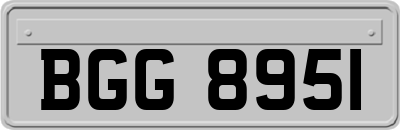 BGG8951