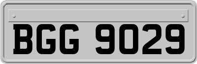 BGG9029
