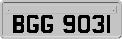 BGG9031