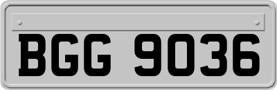 BGG9036
