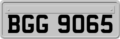 BGG9065
