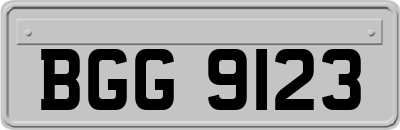 BGG9123