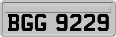 BGG9229